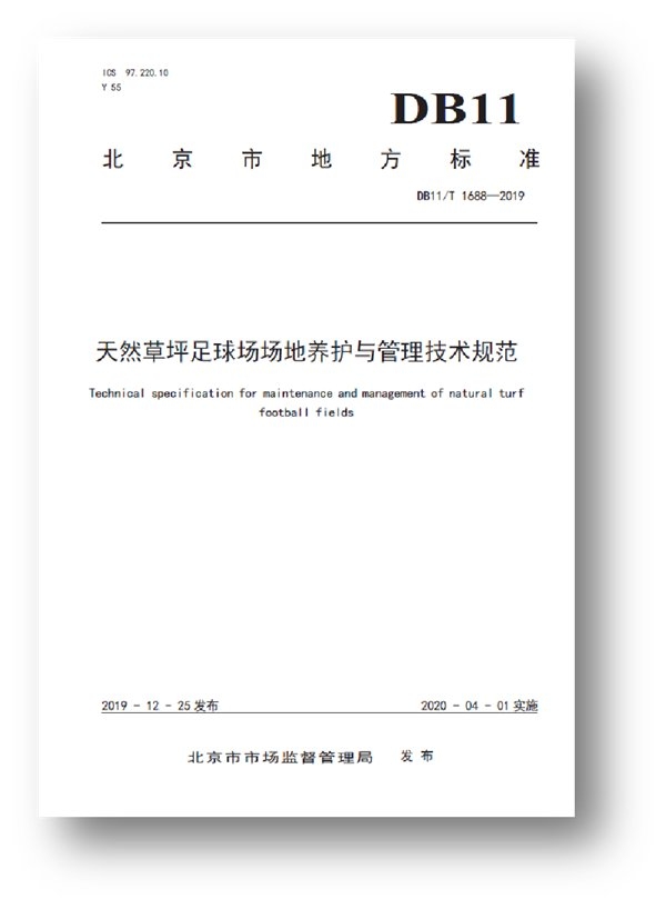 图片13