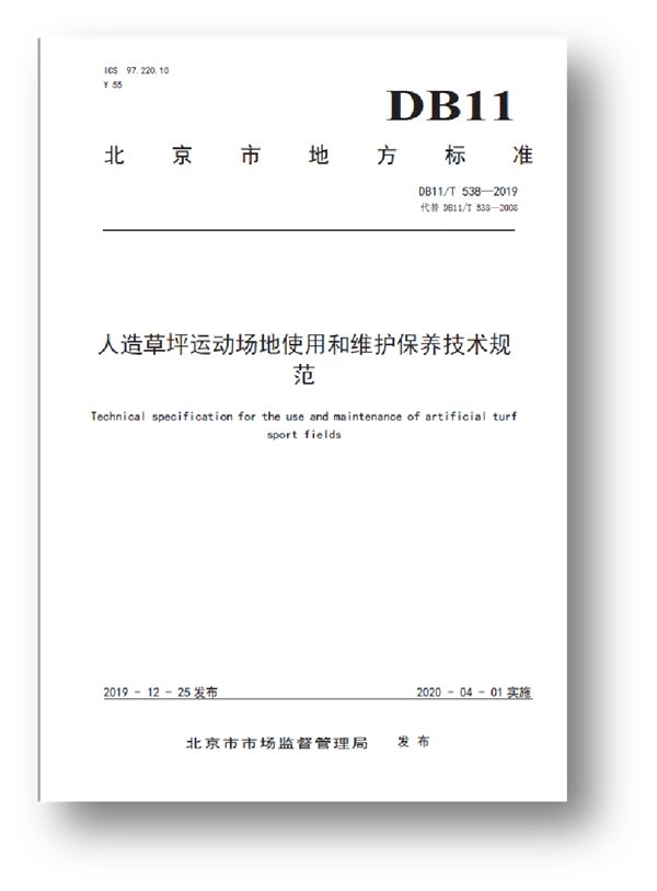 图片11